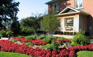 Landscaping Newmarket